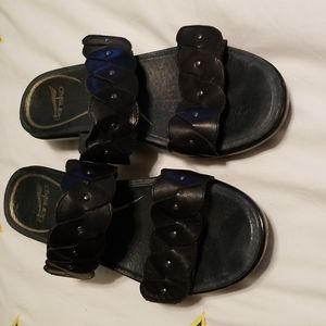 Black Dansko